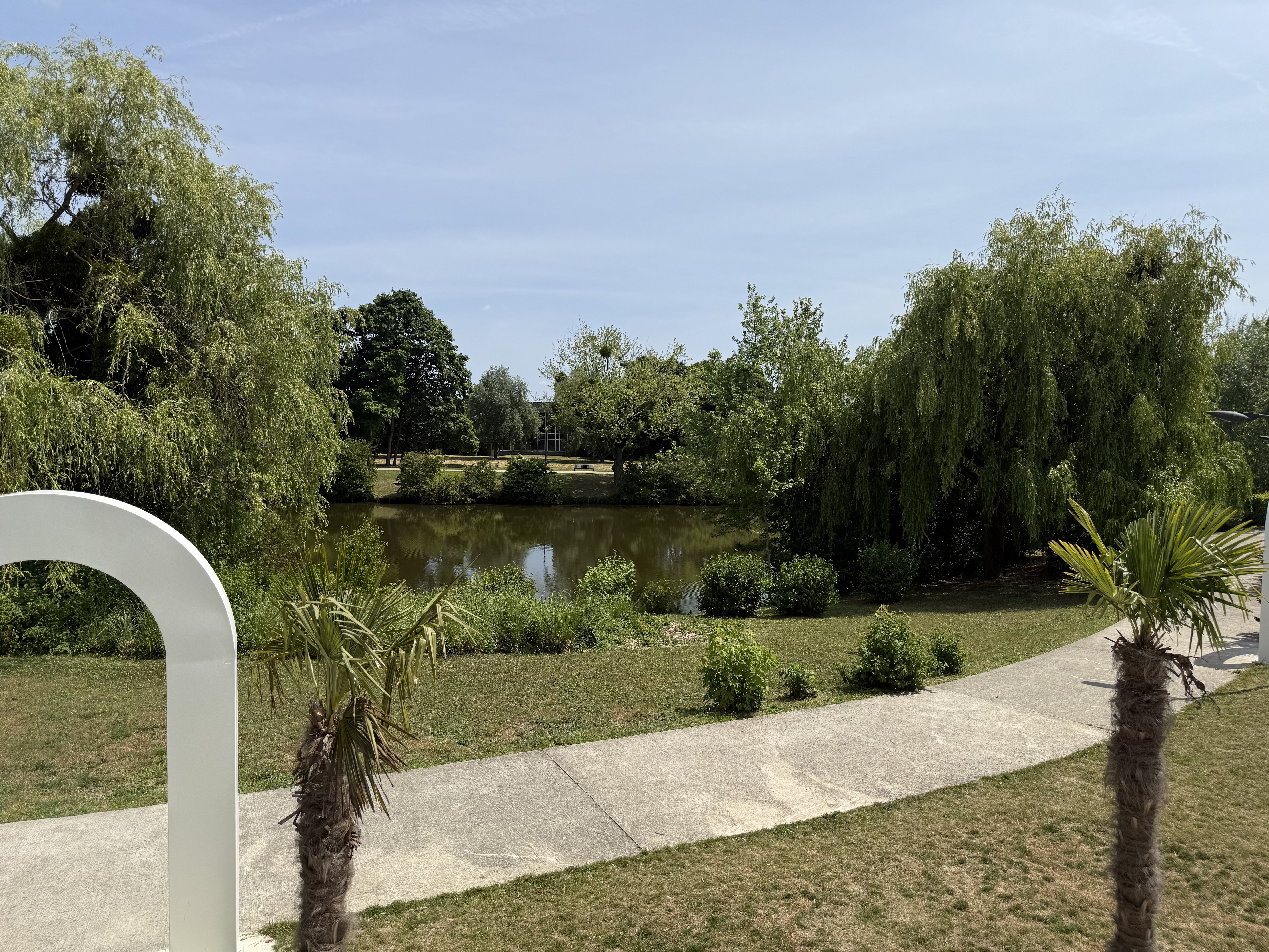 Jardin avec palmiers